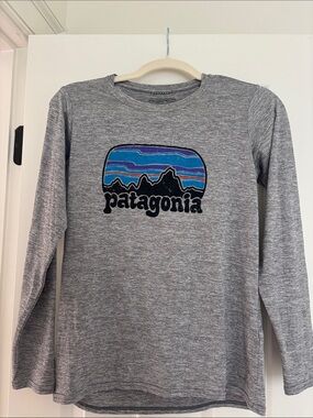 Patagonia Kids Long-Sleeve Gray Tee with Blue Stripe Mountain Logo